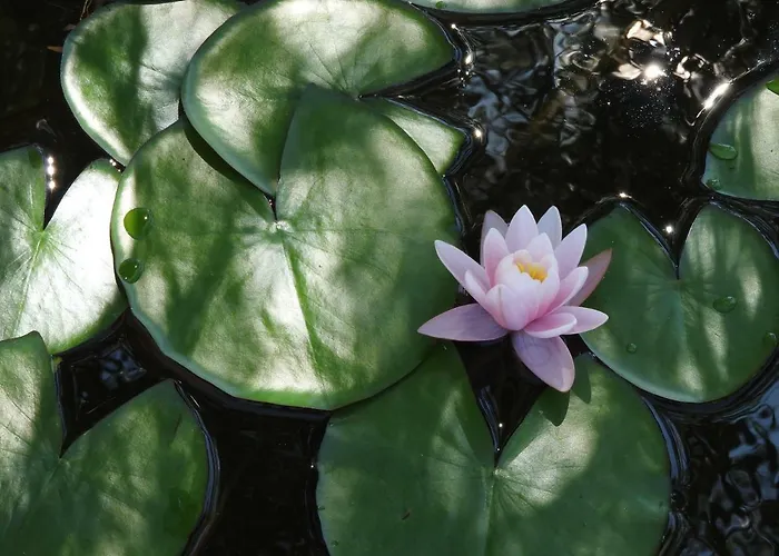 Ca' Mira - Room&breakfast